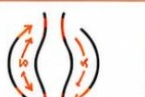 DRAINAGE LYMPHATIQUE